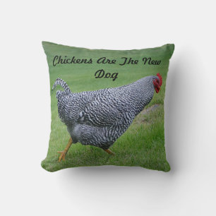 Chickens Are The New Dog Pillow