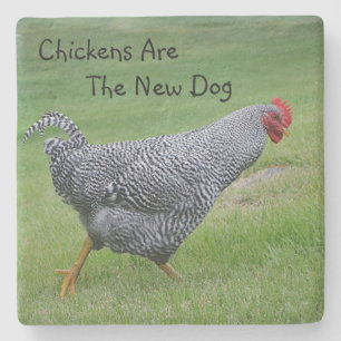 Chickens Are The New Dog Stone Coaster