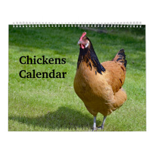 Chickens Calendar