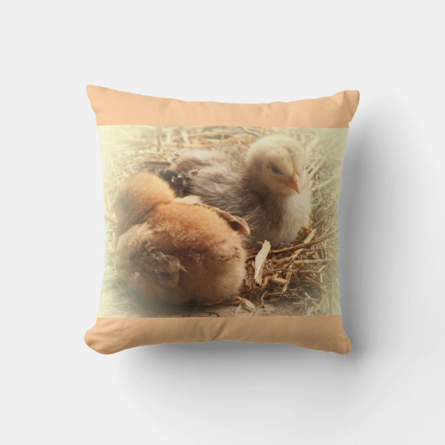 chickens chicks with feather cushion (Front)