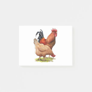 Chickens: Hen and Rooster Colour Pencil Drawing Post-it Notes