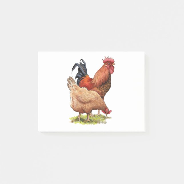 Chickens: Hen and Rooster Colour Pencil Drawing Post-it Notes (Front)