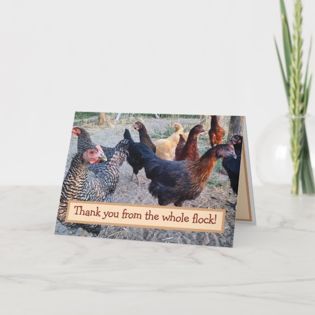 Chickens Humour Funny Barnyard Thank You Card (Front)