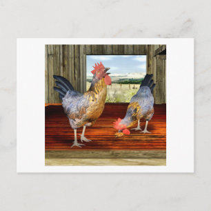 Chickens in Barn Postcard