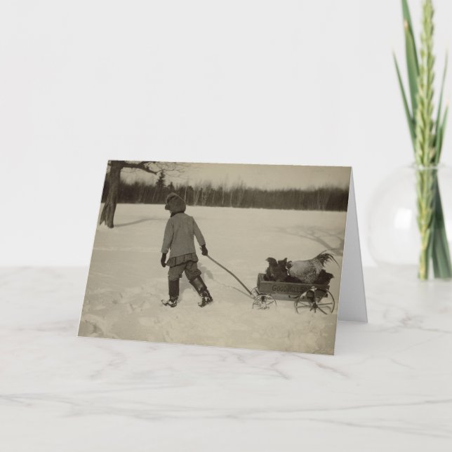 Chickens In Snow Holiday Card (Front)