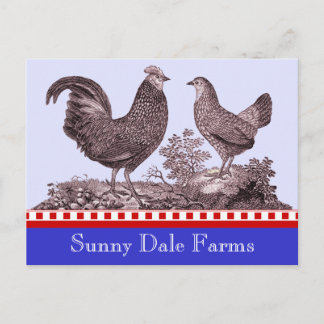 Chickens Invitation for Picnic, Farmer's Market, B Postcard