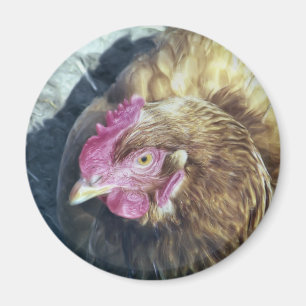 CHICKENS MAGNET