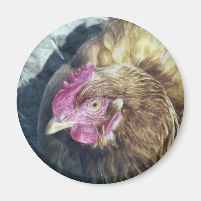 CHICKENS MAGNET (Front)