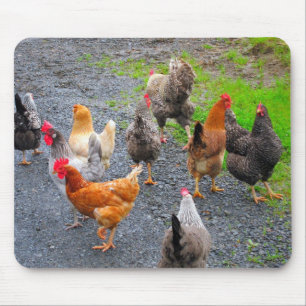 Chickens Mousepad