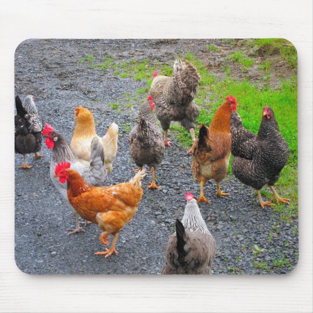 Chickens Mousepad (Front)