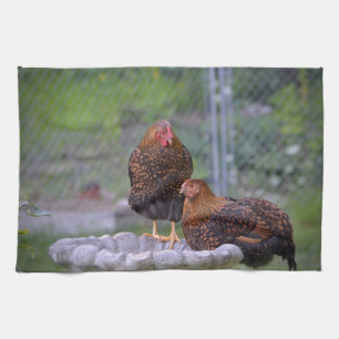 Chickens On Birdbath Kitchen Towel