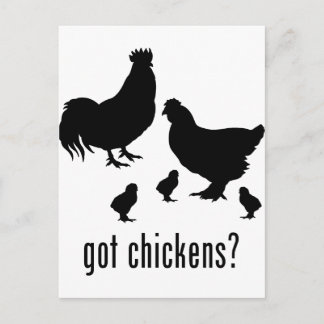 Chickens Postcard