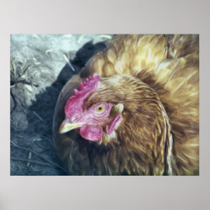 CHICKENS POSTER