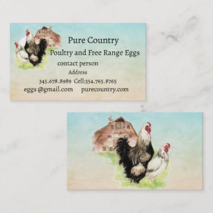 Chickens, Poultry, Eggs Organic free range Business Card