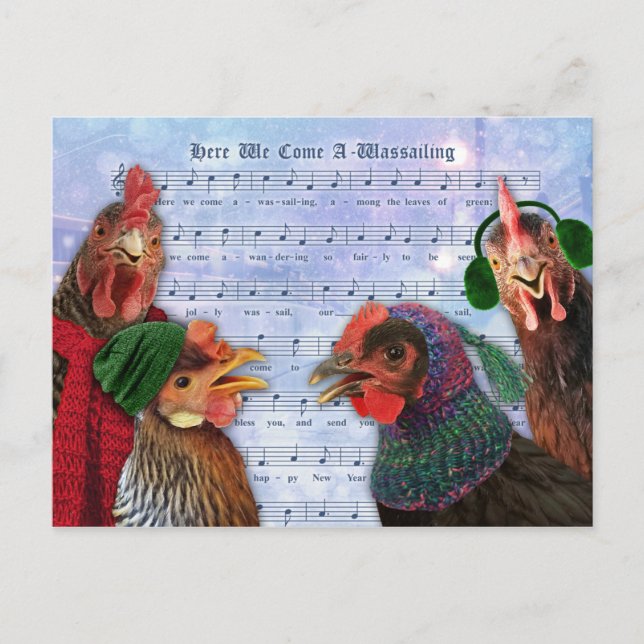 Chickens Singing Christmas Carols Postcard (Front)