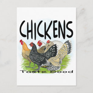 Chickens Taste Good! Postcard