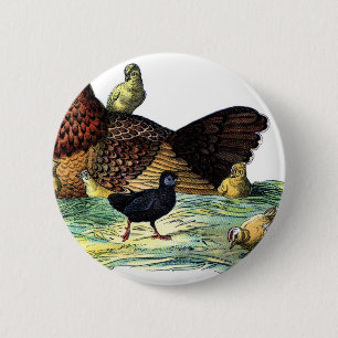 Chickens Vintage Animal 6 Cm Round Badge