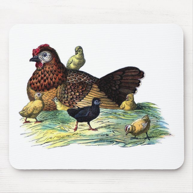 Chickens Vintage Animal Mouse Mat (Front)