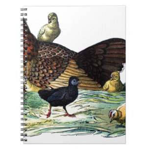 Chickens Vintage Animal Notebook
