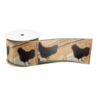 Chickens Walking Photo Ribbon  Satin Ribbon