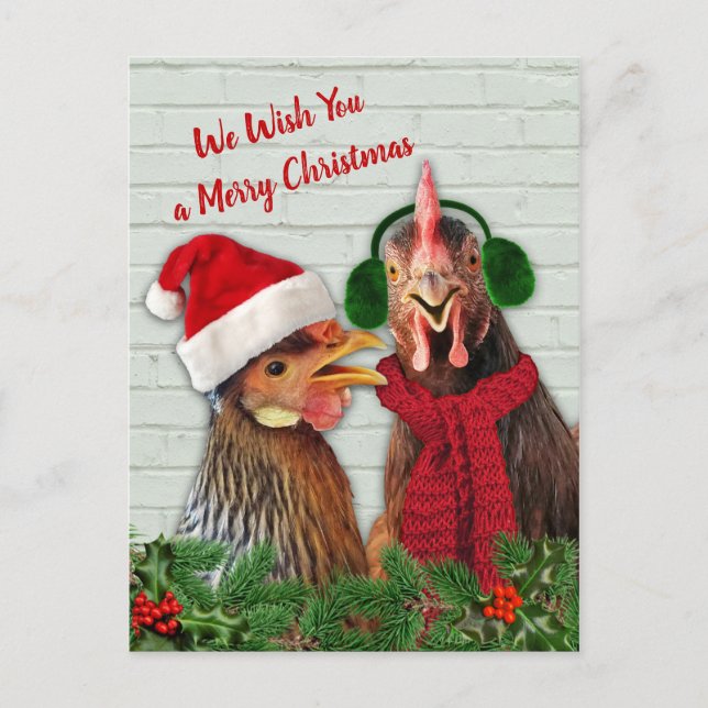 Chickens Wish You A Merry Christmas Holiday Postcard (Front)