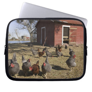 Chickens working grounds near hen house Cliburn Laptop Sleeve