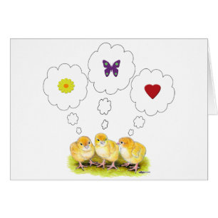 Chickie Daydreams