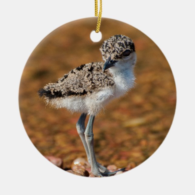 Chickling Ceramic Tree Decoration (Front)