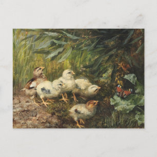Chicks and a Butterfly   Franz Xaver Birkinger Postcard