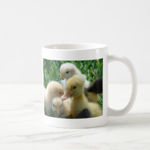 Chicks and Ducklings Coffee Mug