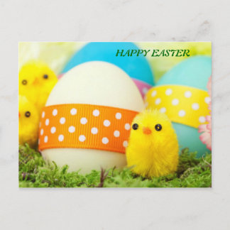 chicks and easter eggs holiday postcard