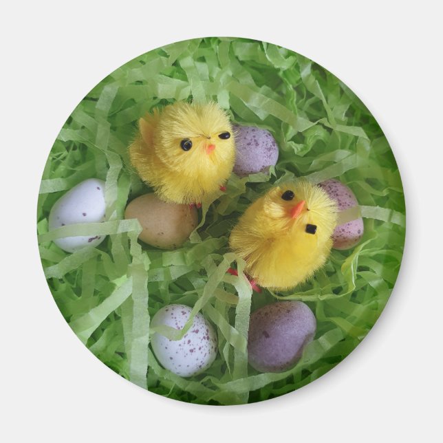 Chicks and Eggs Magnet (Front)