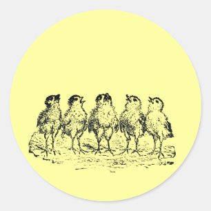 chicks classic round sticker