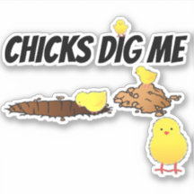 CHICKS DIG ME
