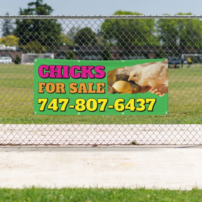 Chicks For Sale Custom Editable Banner (Insitu)