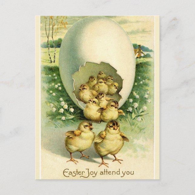 Chicks Hatching From Giant Shell Easter Greetings Postcard (Front)