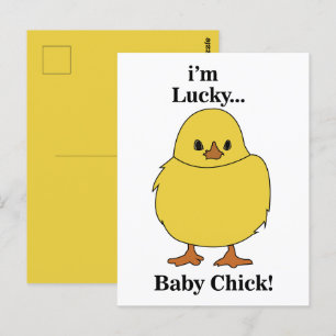 Chicks I'm Lucky Baby Chick Postcard