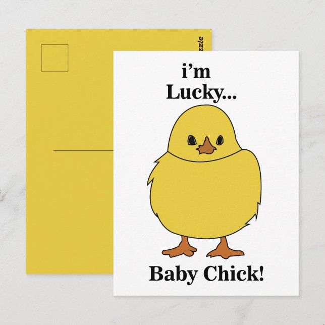 Chicks I'm Lucky Baby Chick Postcard (Front/Back)