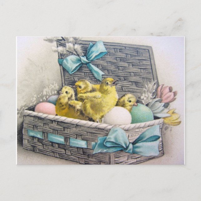Chicks in basket with eggs and flowers postcard (Front)