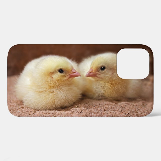 Chicks iPhone 12 Case (Back (Horizontal))