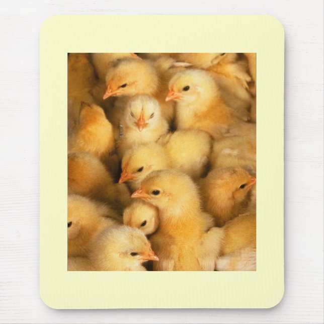 Chicks Mouse Mat (Front)