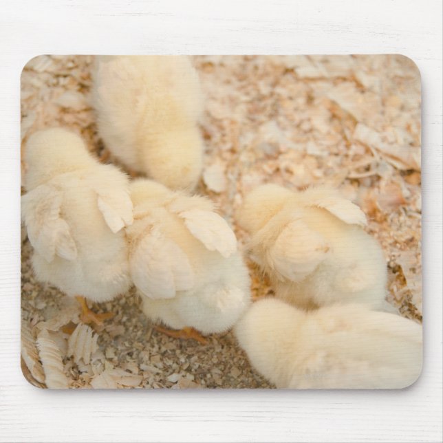chicks mouse mat (Front)