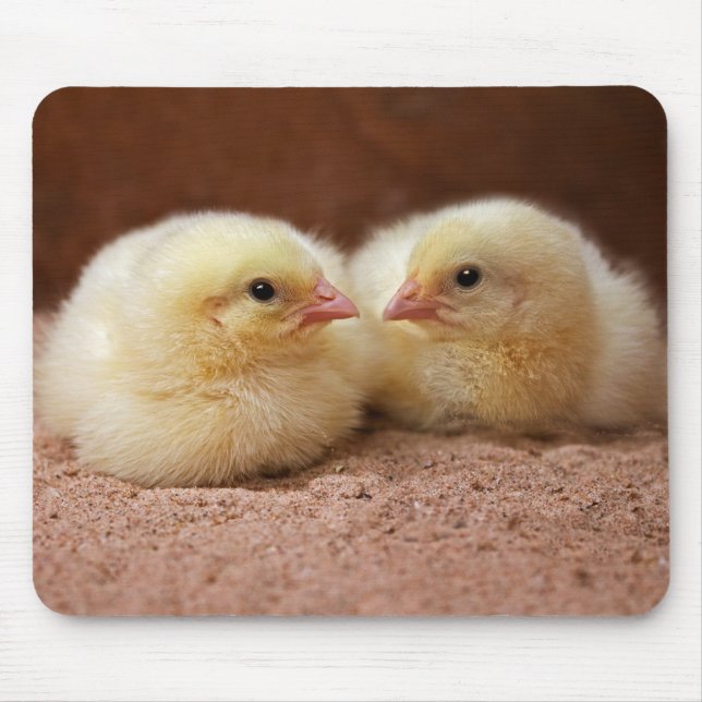 Chicks Mousemat (Front)
