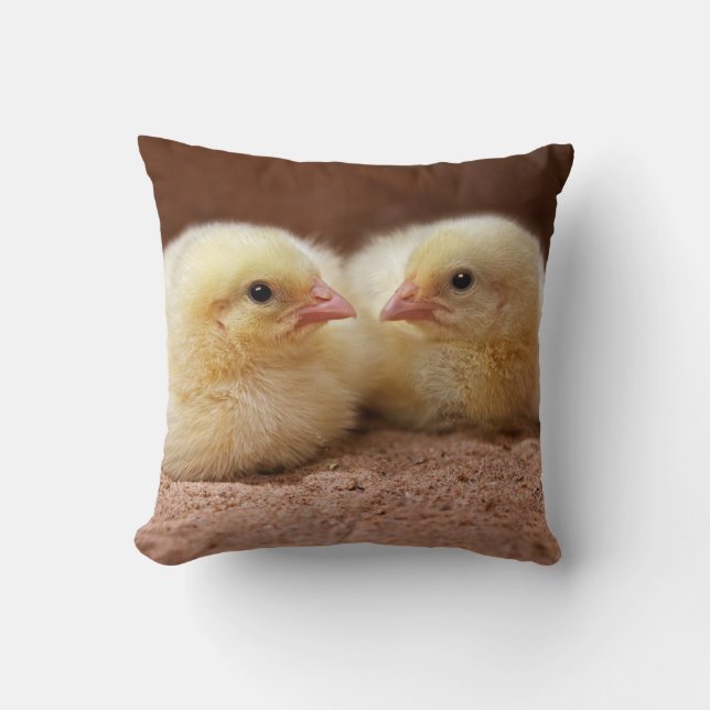 Chicks Pillow (Front)