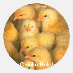 Chicks Rule! Baby Chicks Chick Chicken Chickens Classic Round Sticker