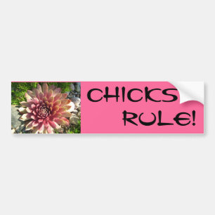 CHICKS, RULE! BUMPER STICKER