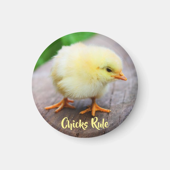 Chicks Rule Cute Baby Chicken Lover Round Magnet (Front)