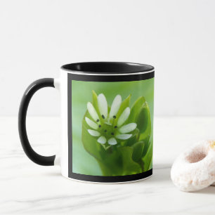 Chickweed Flower, Black Frame Mug