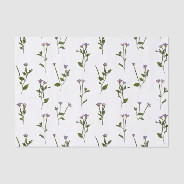 chickweed willowherb dense tissue paper (Front)