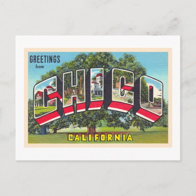 Chico California CA Vintage Large Letter Postcard (Front)
